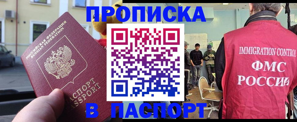 временная регистрация поиск в Сольцах